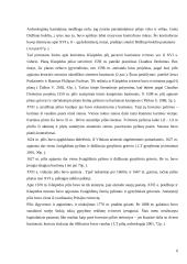 Bastioninės pilys Lietuvoje 4 puslapis