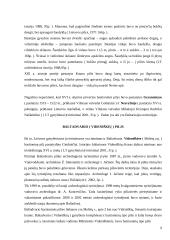 Bastioninės pilys Lietuvoje 7 puslapis