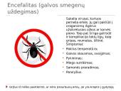 Dažnesnės ligos bei jų profilaktika 7 puslapis