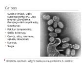 Dažnesnės ligos bei jų profilaktika 8 puslapis