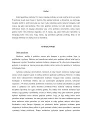 Susipažinimas su vienu profesiniu keliu - medicina 2 puslapis