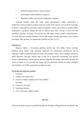 Susipažinimas su vienu profesiniu keliu - medicina 4 puslapis