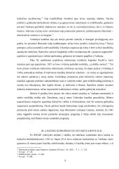 Bažnyčia ir totalitarizmas 9 puslapis