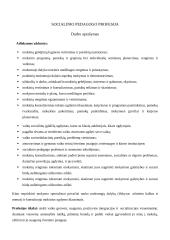 Susipažinimas su vienu profesiniu keliu - socialinė pedagogika 3 puslapis