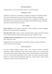 Susipažinimas su vienu profesiniu keliu - socialinė pedagogika 4 puslapis