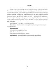 Vadovo misijos įgalinimo darbuotojus prisiimti atsakomybę įgyvendinimo svarba 2 puslapis