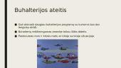 Buhalterio specialybės skaitmenizacija 10 puslapis