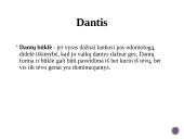 Paveldimumas. Kas tai? 5 puslapis