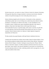 Chiromantija 2 puslapis