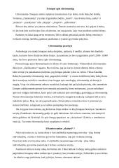 Chiromantija 3 puslapis