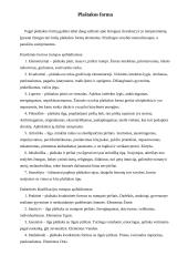 Chiromantija 4 puslapis