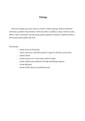 Chiromantija 8 puslapis