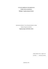 Žieminių kviečių tręšimo ypatumai 2 puslapis