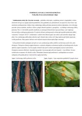 Žieminių kviečių tręšimo ypatumai 5 puslapis