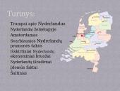 Nyderlandų ekonomika 2 puslapis