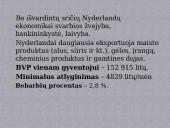 Nyderlandų ekonomika 11 puslapis