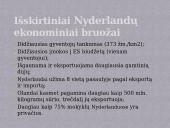 Nyderlandų ekonomika 12 puslapis