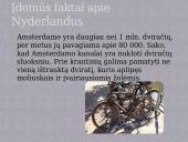 Nyderlandų ekonomika 14 puslapis