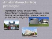 Nyderlandų ekonomika 7 puslapis