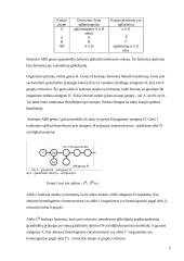 Chromosomos 5 puslapis