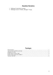 Chromosomos 8 puslapis