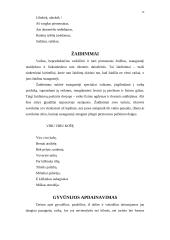 Dainų įvairovė ir jų skirstymas 12 puslapis