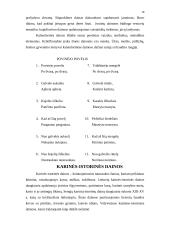 Dainų įvairovė ir jų skirstymas 18 puslapis