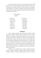 Dainų įvairovė ir jų skirstymas 19 puslapis