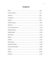 Dainų įvairovė ir jų skirstymas 3 puslapis