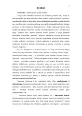 Dainų įvairovė ir jų skirstymas 4 puslapis