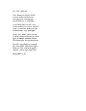 Darius ir Girėnas 7 puslapis