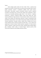 Pirmojo pasaulinio karo įtaka Vokietijos ekonomikai 1914-1918 m. 14 puslapis