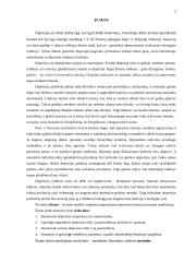 Depresinės būsenos pacientų slauga 2 puslapis