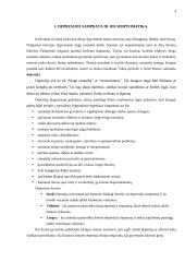 Depresinės būsenos pacientų slauga 3 puslapis