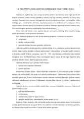 Depresinės būsenos pacientų slauga 7 puslapis