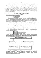 Dešifravimas 2 puslapis