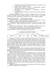 Dešifravimas 11 puslapis