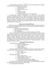 Dešifravimas 13 puslapis