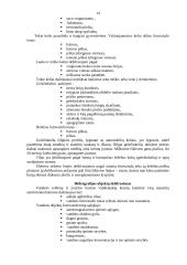 Dešifravimas 14 puslapis