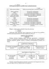 Dešifravimas 4 puslapis