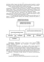 Dešifravimas 6 puslapis