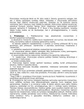 Didžioji Prancūzijos revoliucija - priežastys, eiga bei pasekmės 2 puslapis
