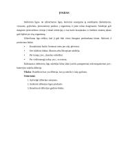 Difterijos liga 3 puslapis