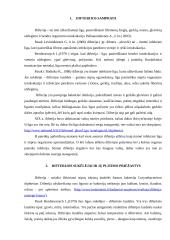 Difterijos liga 4 puslapis