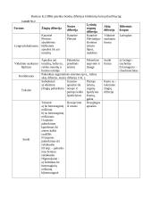 Difterijos liga 8 puslapis