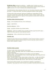 Moteriškų ir vyriškų drabužių stilių įvairovė 2 puslapis