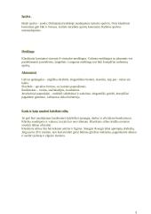 Moteriškų ir vyriškų drabužių stilių įvairovė 3 puslapis