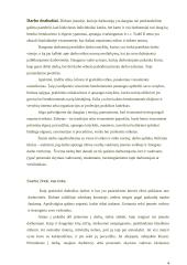 Moteriškų ir vyriškų drabužių stilių įvairovė 4 puslapis