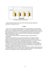 Dviejų šalių energetikos sektorių palyginimas: Lietuva ir Latvija 10 puslapis