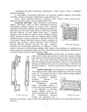 Džiovinimo teorijos pagrindai. Džiovyklos 7 puslapis